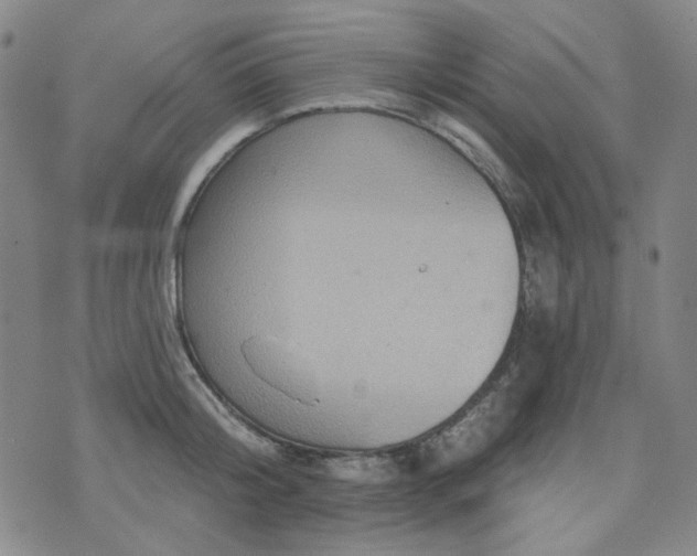 X0000071850804200606301336