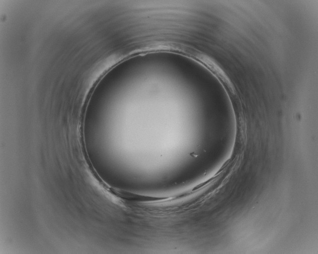 X0000071850805200606301336