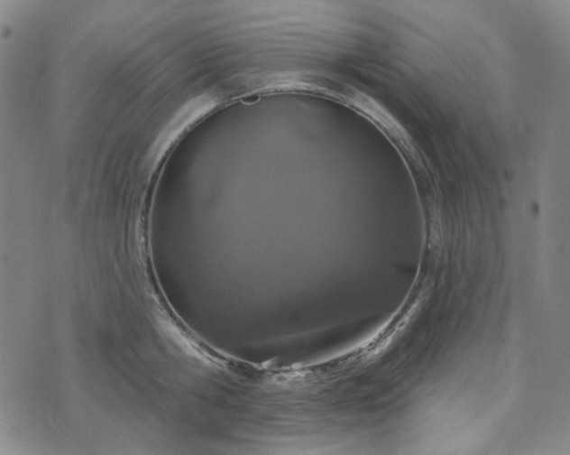 X0000071850806200606301336