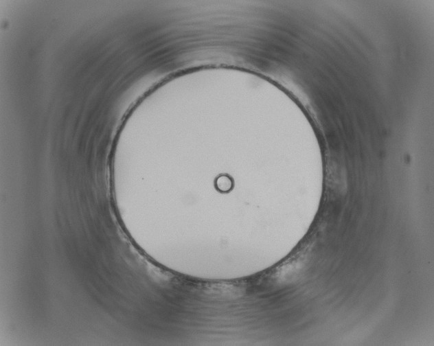 X0000071850807200606301336