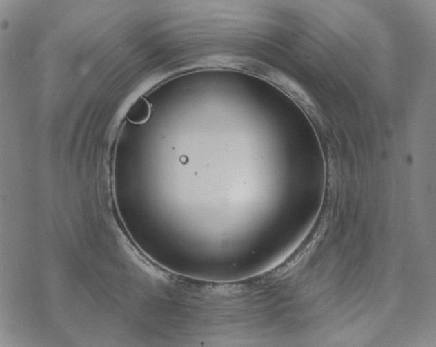 X0000071850808200606301336