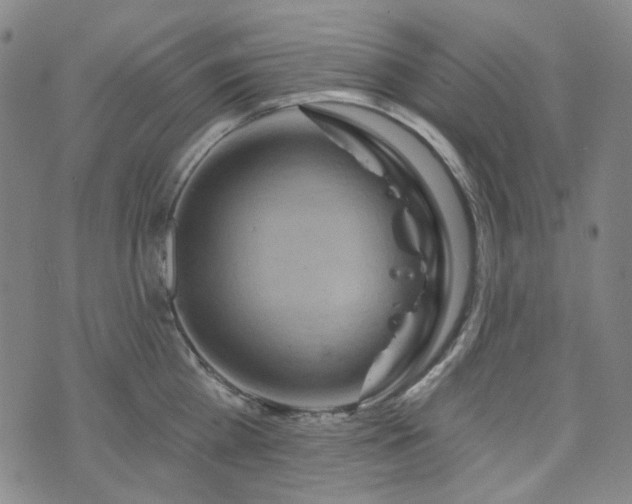 X0000071850809200606301336