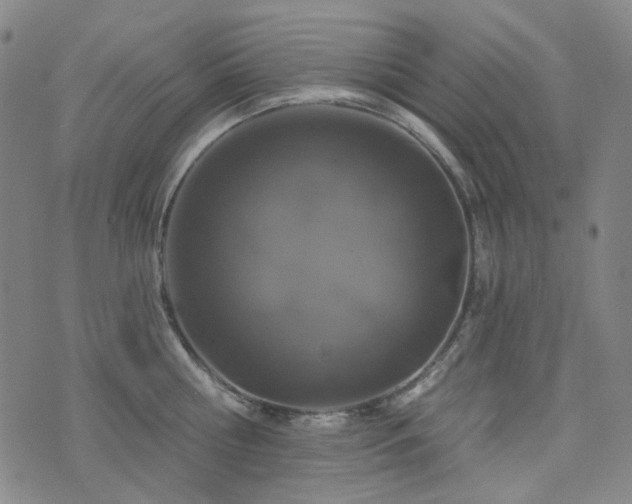 X0000071850810200606301336