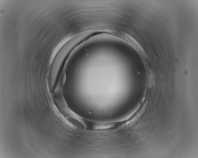 X0000071850812200606301336