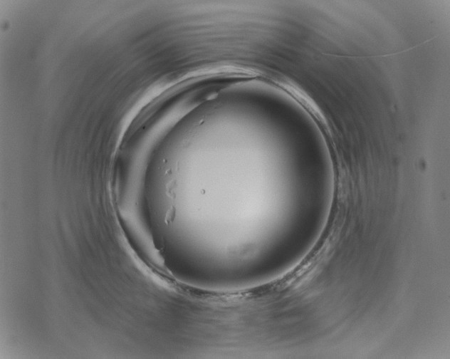 X0000071850813200606301336