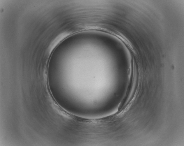 X0000071850814200606301336