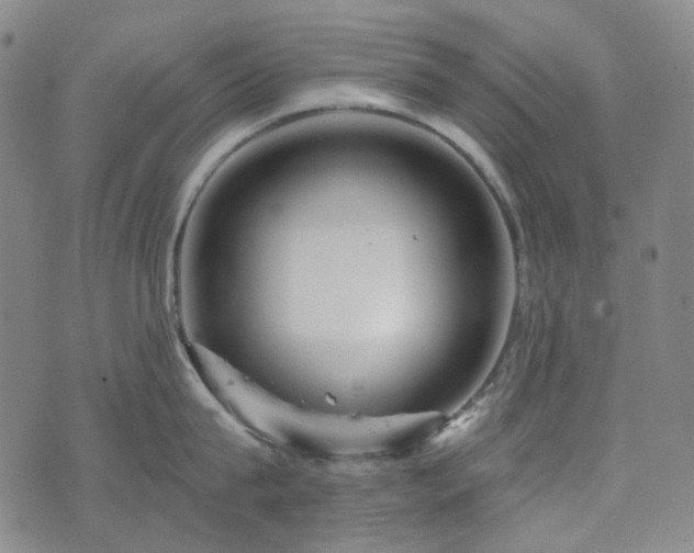 X0000071850815200606301336