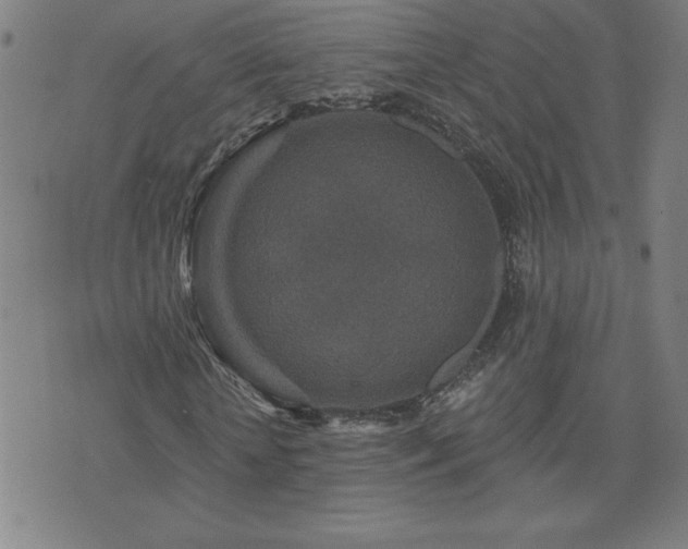 X0000071850818200606301335