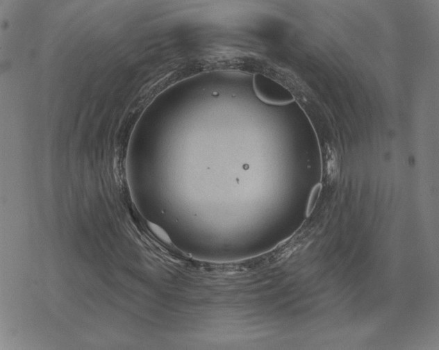 X0000071850819200606301335