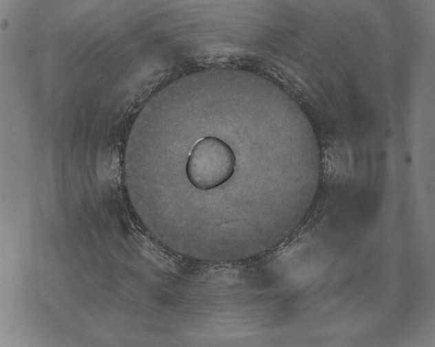 X0000071850820200606301335