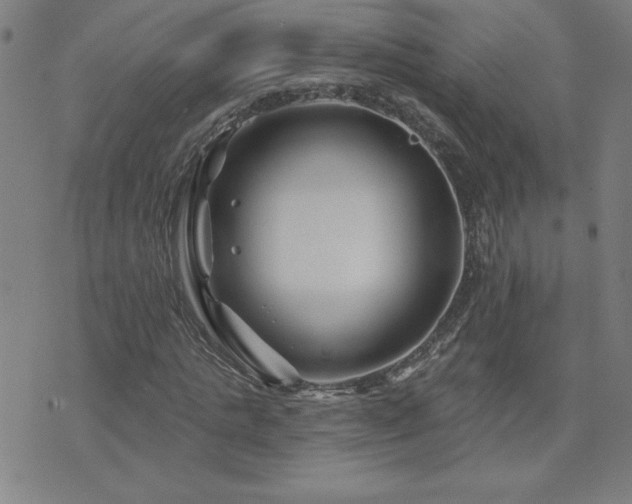 X0000071850821200606301335