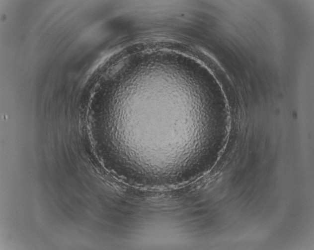 X0000071850823200606301335