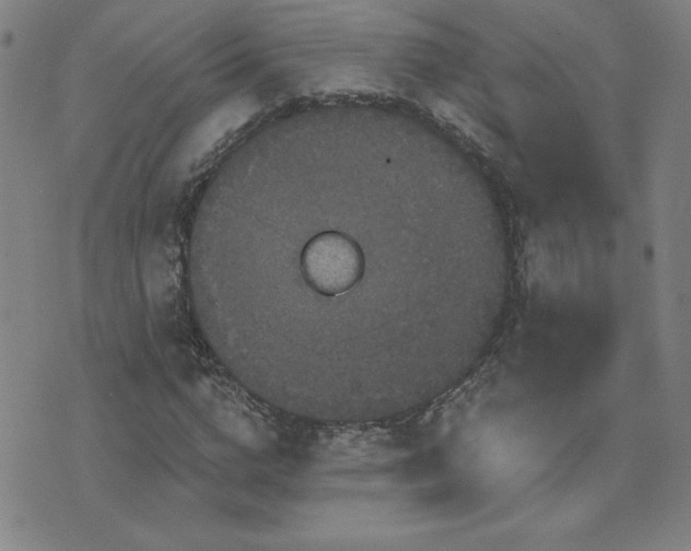 X0000071850824200606301335