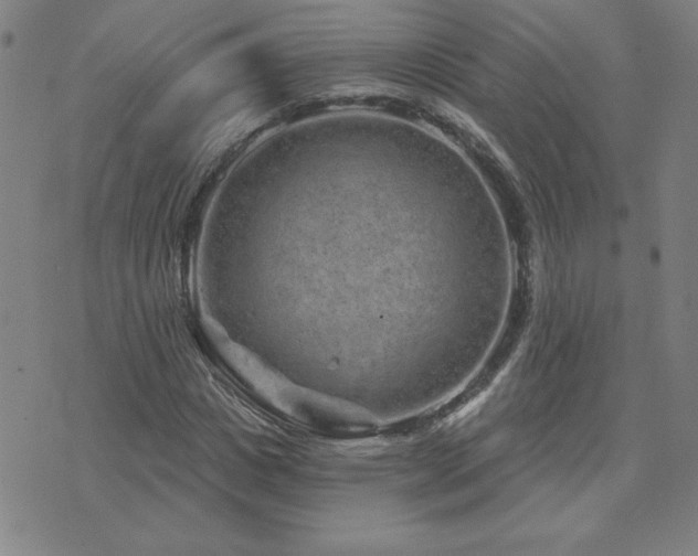 X0000071850825200606301335