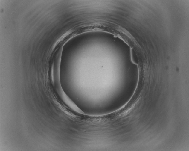 X0000071850826200606301335