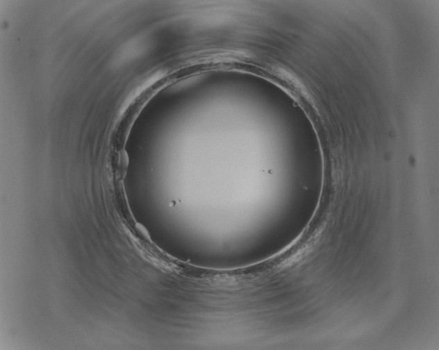 X0000071850827200606301335