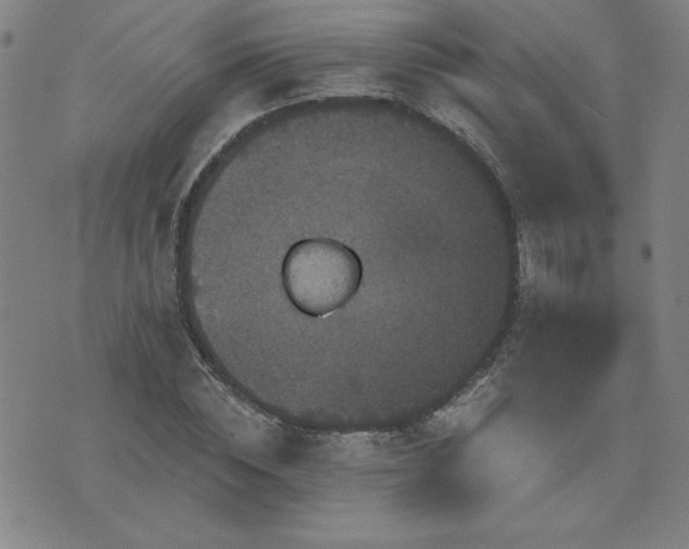 X0000071850828200606301335