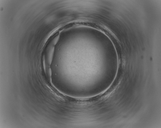 X0000071850829200606301335