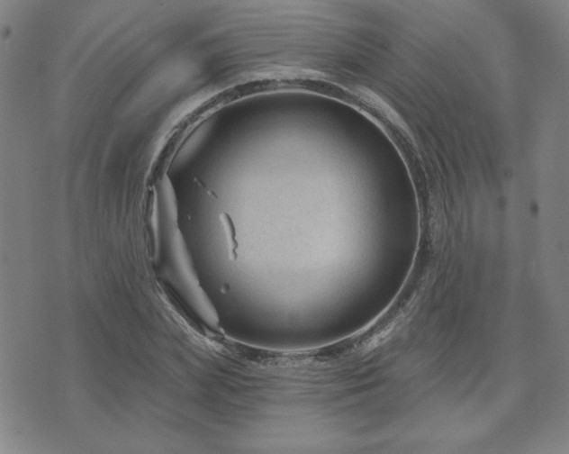 X0000071850831200606301335