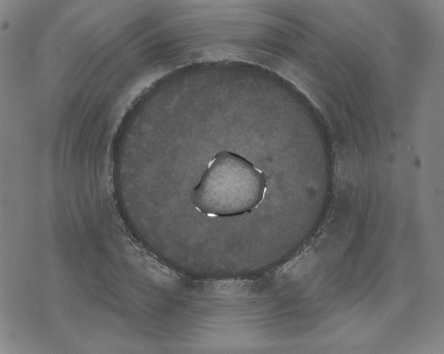 X0000071850832200606301335