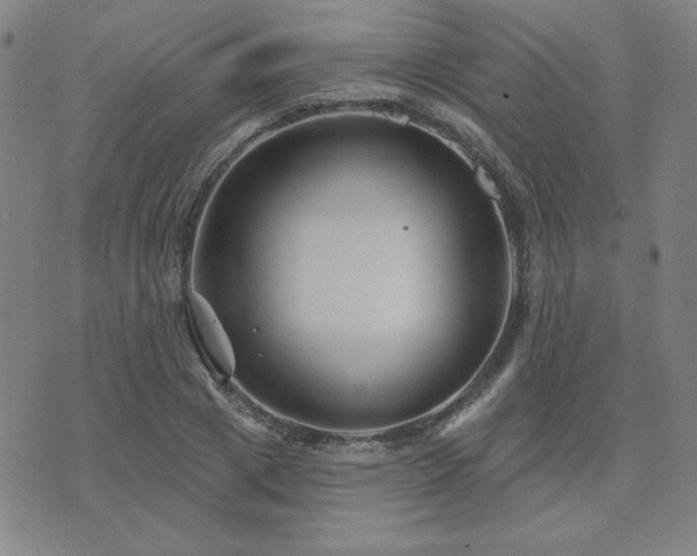 X0000071850833200606301335