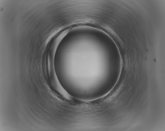 X0000071850834200606301335