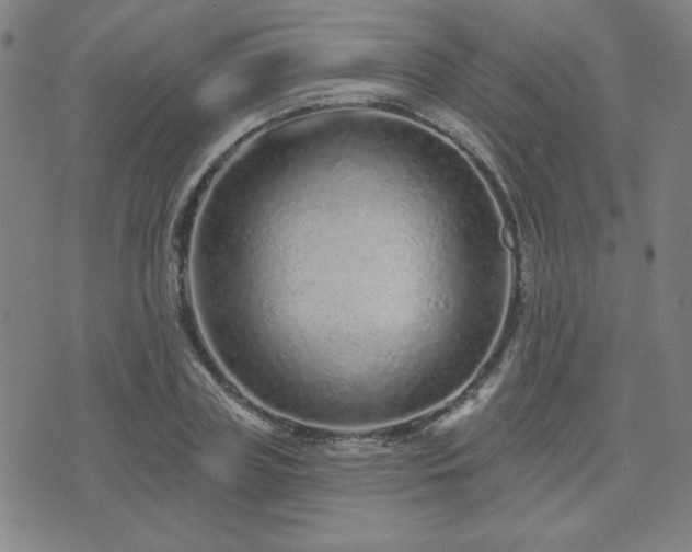 X0000071850835200606301335