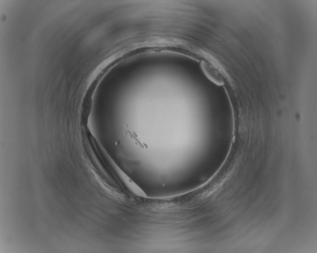 X0000071850837200606301335