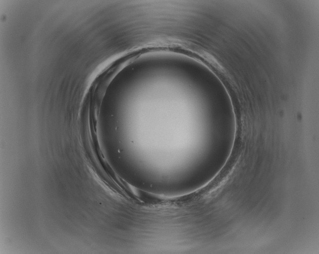 X0000071850838200606301335