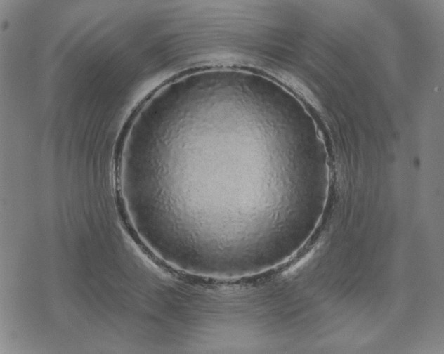 X0000071850839200606301335