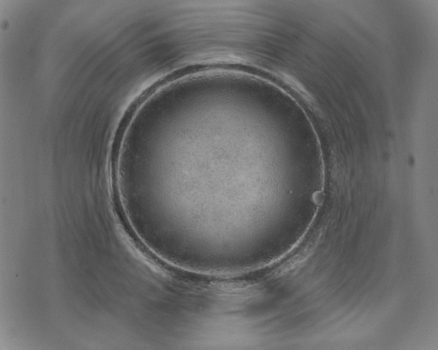 X0000071850840200606301335