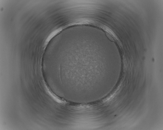 X0000071850842200606301335