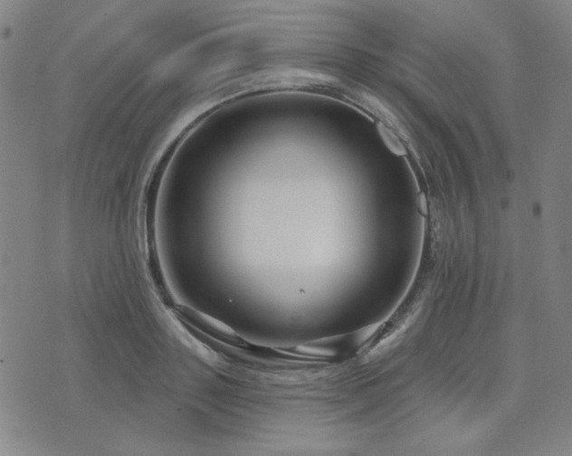 X0000071850843200606301335