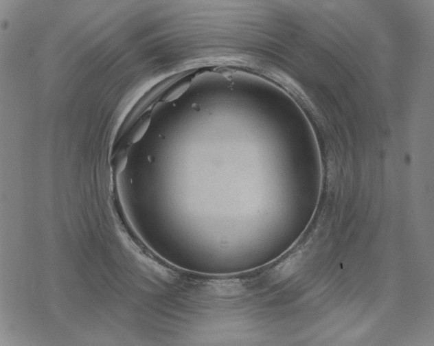 X0000071850844200606301335