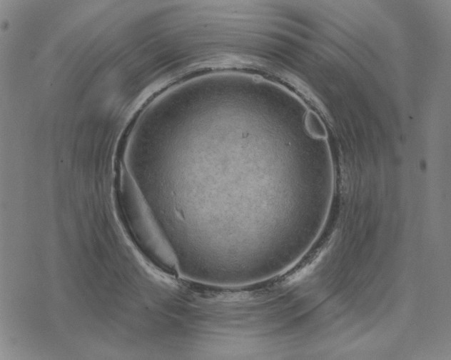 X0000071850845200606301335