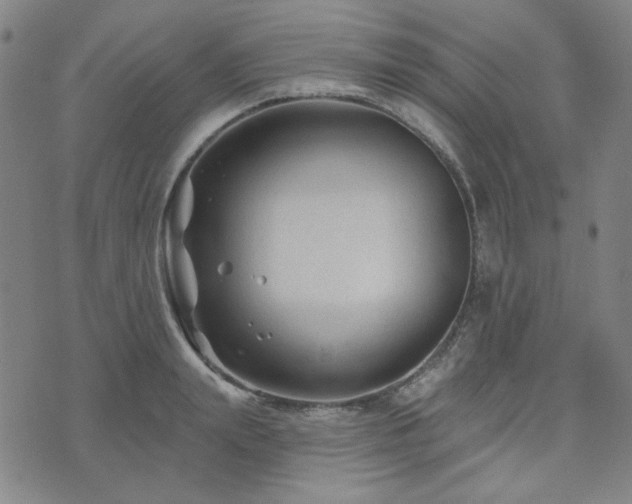 X0000071850847200606301335