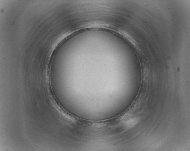 X0000071850848200606301335