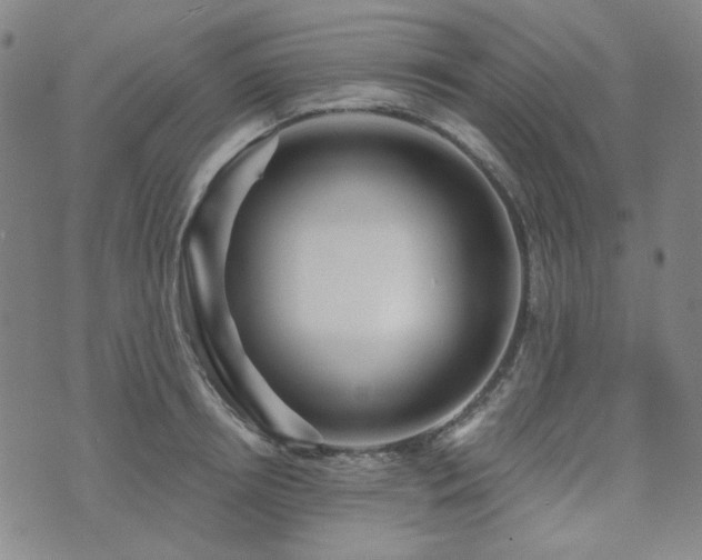 X0000071850850200606301335