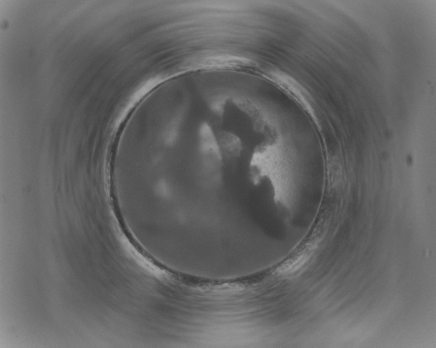 X0000071850851200606301335