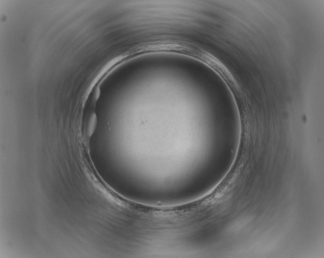 X0000071850852200606301335