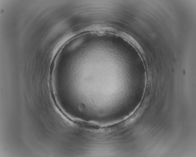 X0000071850855200606301335