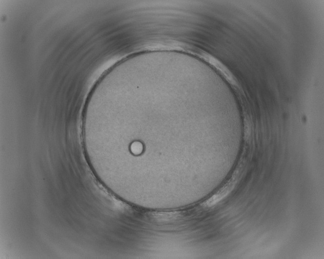 X0000071850856200606301335