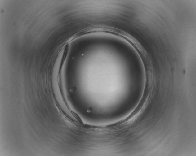 X0000071850857200606301335