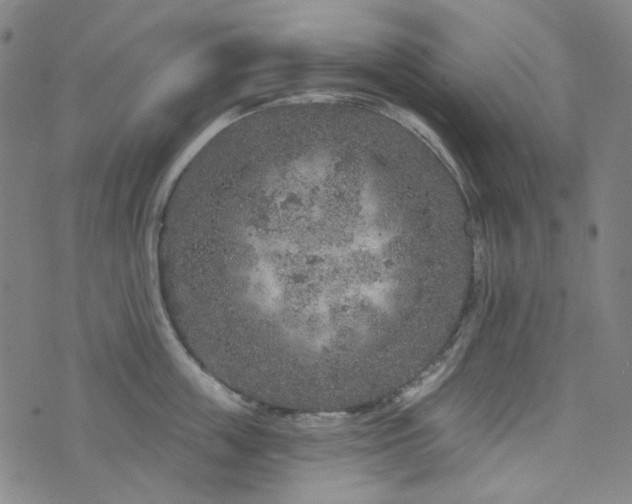 X0000071850859200606301335