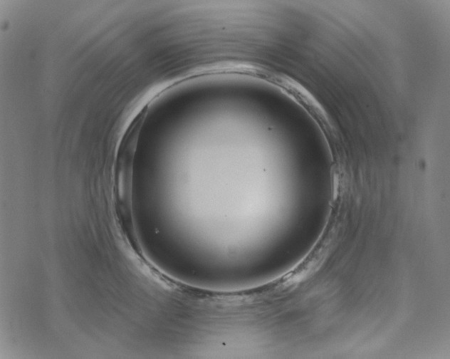 X0000071850860200606301335