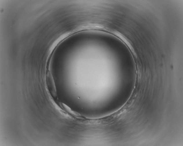 X0000071850861200606301335