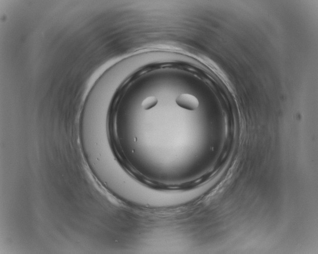 X0000071850862200606301335