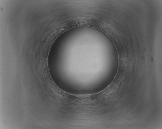 X0000071850865200606301335