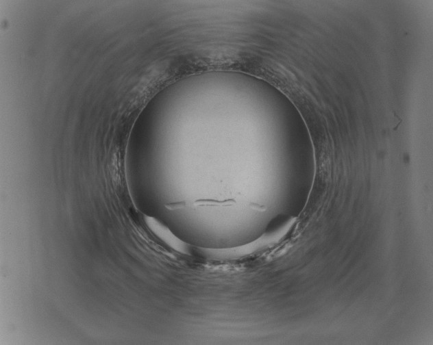 X0000071850866200606301335