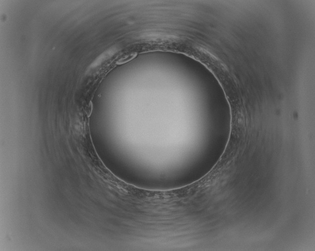 X0000071850869200606301335